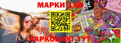 прущие грибы Краснодар
