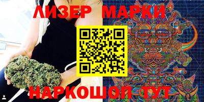 прущие грибы Краснодар