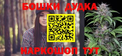 прущие грибы Краснодар