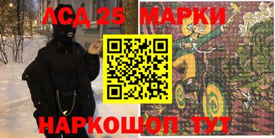 прущие грибы Краснодар