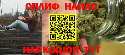 прущие грибы Краснодар
