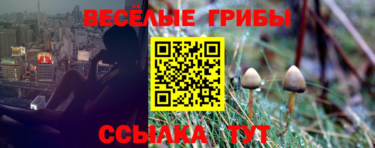 Псилоцибиновые грибы мицелий  Вход с VPN  Железноводск  Галлюциногенные грибы ЛСД 